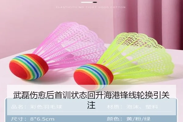 武磊伤愈后首训状态回升海港锋线轮换引关注